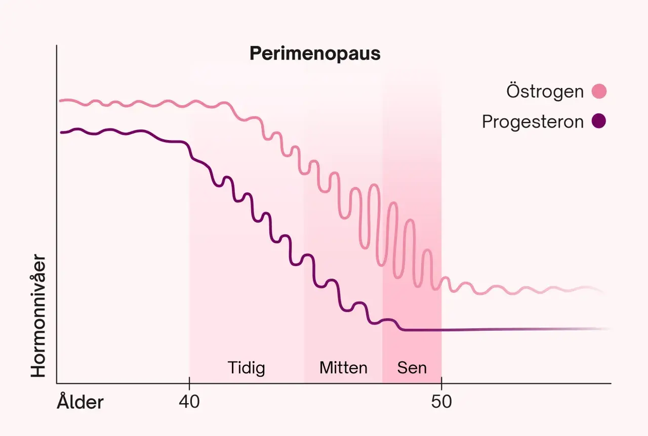 Graf över hormonförändringar under perimenopausen. Östrogen och progesteron sjunker gradvis, vilket kan leda till att man blev gravid i klimakteriet.